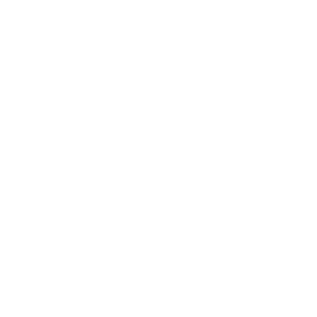 Twitter (X) Logo White
