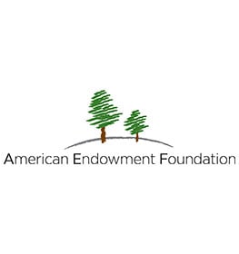 american-endowment-foundation-263x280px